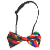 Pride Items Noeud Papillon BOW TIE Rainbow